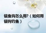 錨魚鉤怎么用?（如何用錨鉤釣魚）