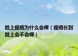 臉上痤瘡為什么會(huì)癢（痤瘡長(zhǎng)到臉上會(huì)不會(huì)癢）