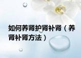 如何養(yǎng)腎護腎補腎（養(yǎng)腎補腎方法）