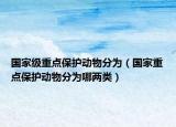 國(guó)家級(jí)重點(diǎn)保護(hù)動(dòng)物分為（國(guó)家重點(diǎn)保護(hù)動(dòng)物分為哪兩類）