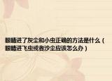 眼睛進了灰塵和小蟲正確的方法是什么（眼睛進飛蟲或者沙塵應該怎么辦）