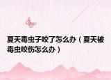 夏天毒蟲子咬了怎么辦（夏天被毒蟲咬傷怎么辦）