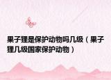 果子貍是保護動物嗎幾級（果子貍幾級國家保護動物）