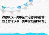 教你認(rèn)識(shí)一類中醫(yī)常用的草藥有哪些（教你認(rèn)識(shí)一類中醫(yī)常用的草藥）