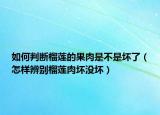 如何判斷榴蓮的果肉是不是壞了（怎樣辨別榴蓮肉壞沒壞）