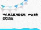 什么是常數(shù)項級數(shù)組（什么是常數(shù)項級數(shù)）