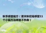秋季感冒偏方（夏末秋初易感冒11個小偏方治感冒不傷身）