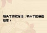 領(lǐng)頭羊的歇后語(yǔ)（領(lǐng)頭羊的俗語(yǔ)意思）