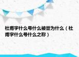 杜甫字什么號(hào)什么被譽(yù)為什么（杜甫字什么號(hào)什么之稱）