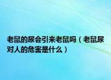 老鼠的尿會引來老鼠嗎（老鼠尿?qū)θ说奈：κ鞘裁矗? /></span></a>
                        <h2><a href=