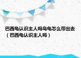 巴西龜認(rèn)識主人嗎烏龜怎么帶出去（巴西龜認(rèn)識主人嗎）