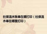 社保流水賬單在哪打印（社保流水單在哪里打?。? /></span></a>
                        <h2><a href=