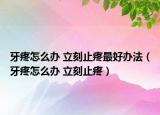 牙疼怎么辦 立刻止疼最好辦法（牙疼怎么辦 立刻止疼）