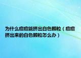 為什么痘痘能擠出白色顆粒（痘痘擠出來的白色顆粒怎么辦）
