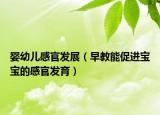 嬰幼兒感官發(fā)展（早教能促進寶寶的感官發(fā)育）