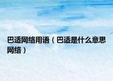 巴適網(wǎng)絡(luò)用語(yǔ)（巴適是什么意思網(wǎng)絡(luò)）
