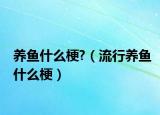 養(yǎng)魚什么梗?（流行養(yǎng)魚什么梗）