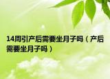 14周引產(chǎn)后需要坐月子嗎（產(chǎn)后需要坐月子嗎）