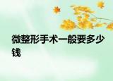 微整形手術(shù)一般要多少錢