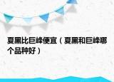 夏黑比巨峰便宜（夏黑和巨峰哪個品種好）