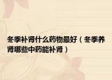 冬季補(bǔ)腎什么藥物最好（冬季養(yǎng)腎哪些中藥能補(bǔ)腎）