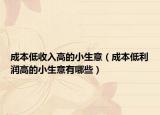 成本低收入高的小生意（成本低利潤(rùn)高的小生意有哪些）