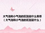 大氣泡和小氣泡的區(qū)別是什么意思（大氣泡和小氣泡的區(qū)別是什么）