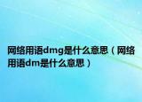 網絡用語dmg是什么意思（網絡用語dm是什么意思）
