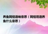 養(yǎng)魚網(wǎng)絡(luò)語啥意思（網(wǎng)絡(luò)用語養(yǎng)魚什么意思）