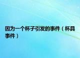 因?yàn)橐粋€(gè)杯子引發(fā)的事件（杯具事件）