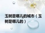 玉樹(shù)是哪兒的城市（玉樹(shù)是哪兒的）
