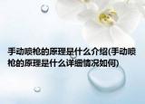手動(dòng)噴槍的原理是什么介紹(手動(dòng)噴槍的原理是什么詳細(xì)情況如何)
