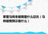 家里馬蜂來(lái)做窩是什么征兆（馬蜂做窩預(yù)示著什么）