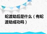 蛇渡劫后是什么（有蛇渡劫成功嗎）