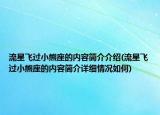 流星飛過小熊座的內(nèi)容簡(jiǎn)介介紹(流星飛過小熊座的內(nèi)容簡(jiǎn)介詳細(xì)情況如何)