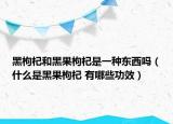黑枸杞和黑果枸杞是一種東西嗎（什么是黑果枸杞 有哪些功效）