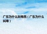 廣東為什么叫粵西（廣東為什么叫粵）