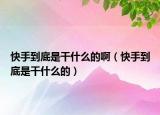 快手到底是干什么的?。焓值降资歉墒裁吹模? /></span></a>
                        <h2><a href=