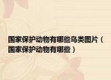 國(guó)家保護(hù)動(dòng)物有哪些鳥(niǎo)類(lèi)圖片（國(guó)家保護(hù)動(dòng)物有哪些）