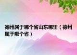 德州屬于哪個(gè)省山東哪里（德州屬于哪個(gè)?。? /></span></a>
                        <h2><a href=