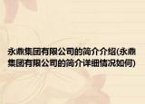 永鼎集團(tuán)有限公司的簡介介紹(永鼎集團(tuán)有限公司的簡介詳細(xì)情況如何)