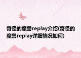 奇怪的魔獸replay介紹(奇怪的魔獸replay詳細(xì)情況如何)