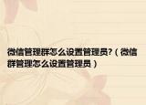 微信管理群怎么設(shè)置管理員?（微信群管理怎么設(shè)置管理員）