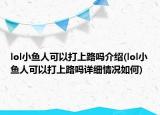 lol小魚人可以打上路嗎介紹(lol小魚人可以打上路嗎詳細情況如何)