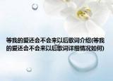 等我的愛還會不會來以后歌詞介紹(等我的愛還會不會來以后歌詞詳細(xì)情況如何)
