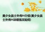 美少女戰(zhàn)士外傳H介紹(美少女戰(zhàn)士外傳H詳細情況如何)