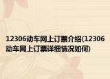 12306動(dòng)車網(wǎng)上訂票介紹(12306動(dòng)車網(wǎng)上訂票詳細(xì)情況如何)
