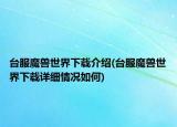臺(tái)服魔獸世界下載介紹(臺(tái)服魔獸世界下載詳細(xì)情況如何)