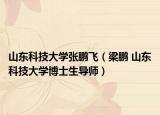 山東科技大學張鵬飛（梁鵬 山東科技大學博士生導師）