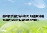 魏峰截拳道教程標(biāo)準(zhǔn)嗎介紹(魏峰截拳道教程標(biāo)準(zhǔn)嗎詳細(xì)情況如何)